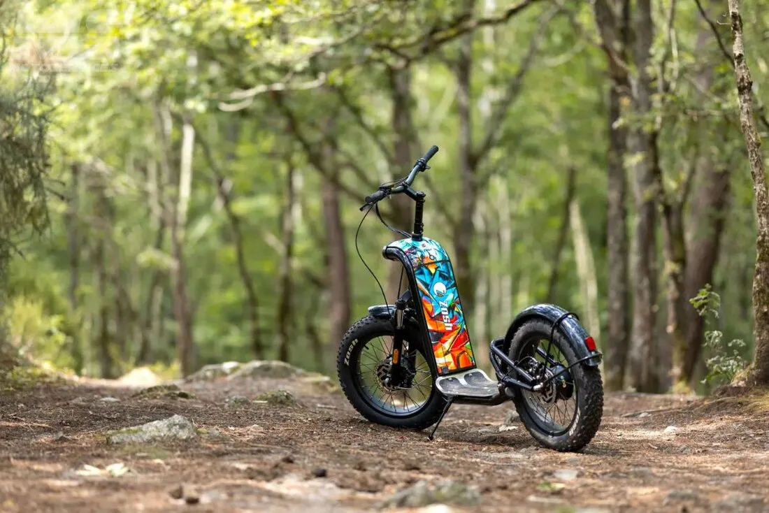 La trottinette éléctrique XXL pour faire du Tout-Terrain - 05